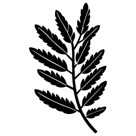 sea buckthorn leaf floral illustration sketch elementのイラスト素材