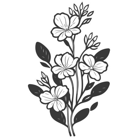 orchid flower illustration sketch greyのイラスト素材