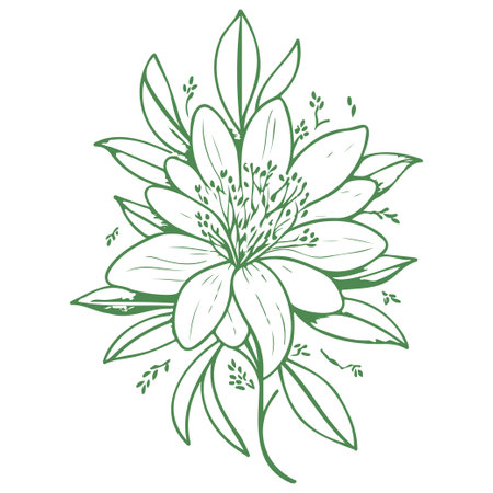 orchid flower illustration sketch greenのイラスト素材