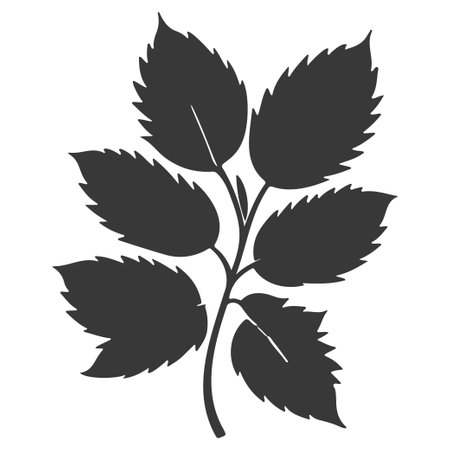 chestnut leaf plant floral illustration sketch element greyのイラスト素材