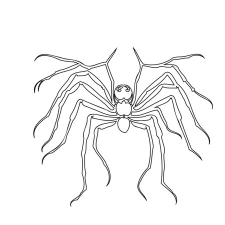 Spider Halloween illustration sketch outline elementのイラスト素材