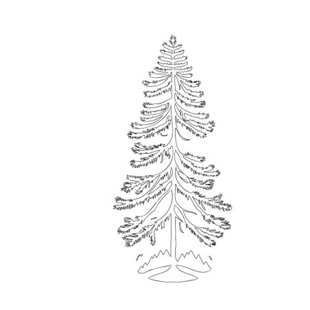Pine tree nature illustration outline element sketchのイラスト素材