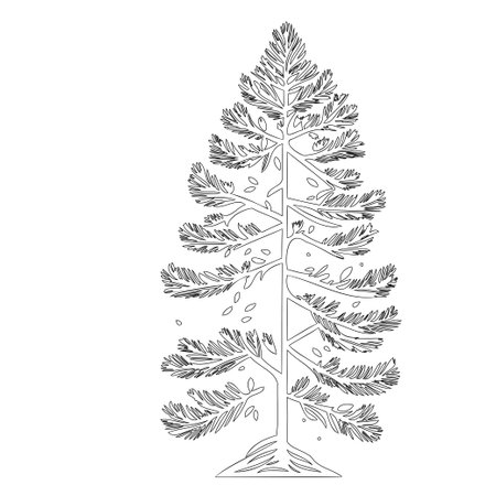 Pine tree nature illustration outline element sketchのイラスト素材
