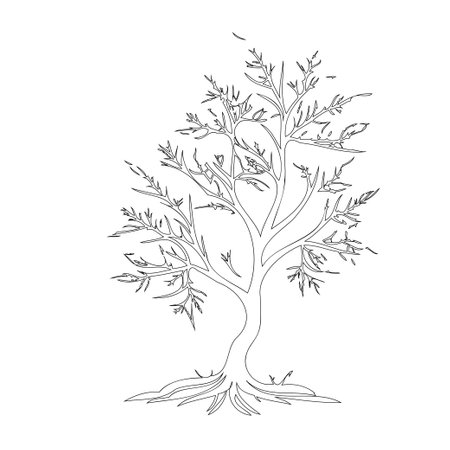 Maple tree nature illustration outline element sketchのイラスト素材
