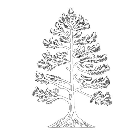 Pine tree nature illustration outline element sketchのイラスト素材