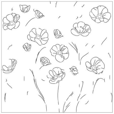 Poppy Flower illustration outline pattern element sketchのイラスト素材