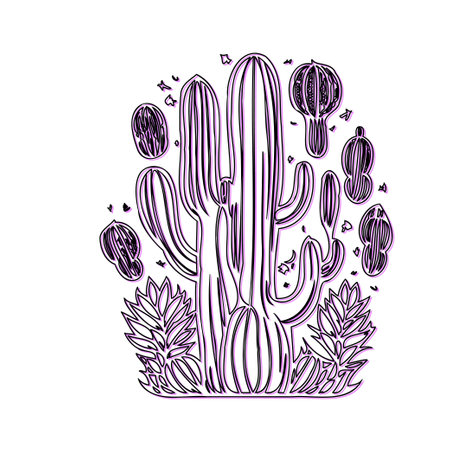 Cactus and succulent line art illustrationのイラスト素材