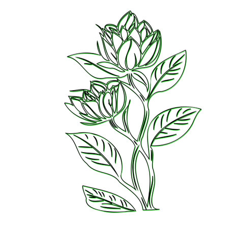 Simple Hand Drawn Line Art Flower Illustrationのイラスト素材