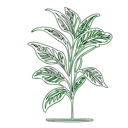 Line art illustration of a houseplantのイラスト素材