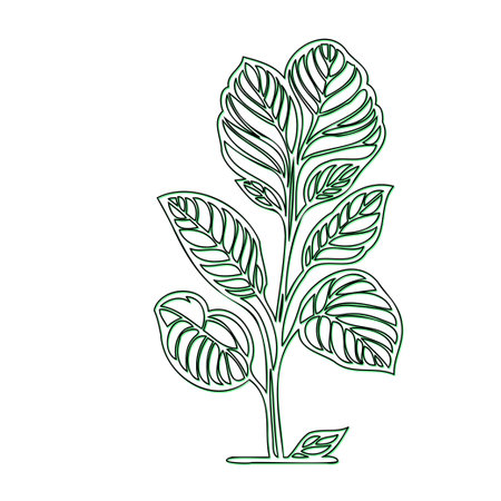 Line art illustration of a simple stylized plant with leavesのイラスト素材