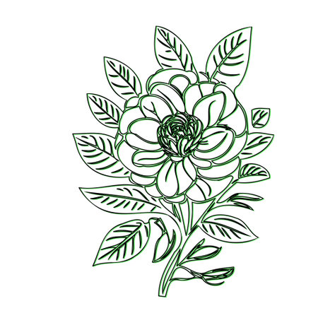 Line art illustration of a single blooming flowerのイラスト素材