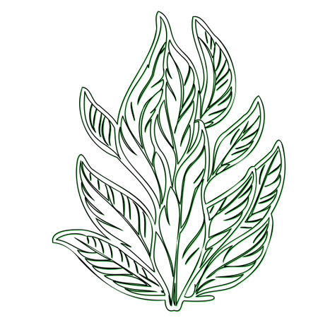 Abstract line art green plant leaves nature botanical illustrationのイラスト素材
