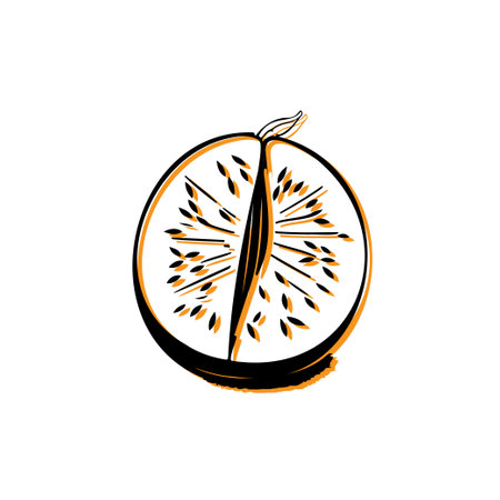 Kiwi fruit half slice line art illustration. Concept of healthy food, tropical fruit, and summer.のイラスト素材
