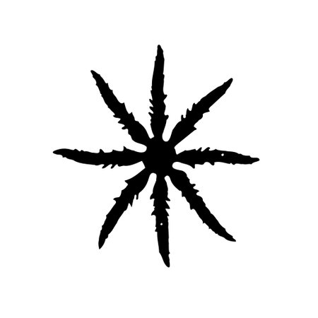 Black abstract star shape silhouette on white background. Graphic design element for print or web use. Isolated vector art.のイラスト素材