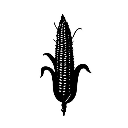 A black silhouette illustration of an ear of corn with husk, on a white background.のイラスト素材