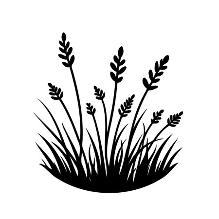 A black silhouette of grass and wheat stalks is displayed against a white background.のイラスト素材