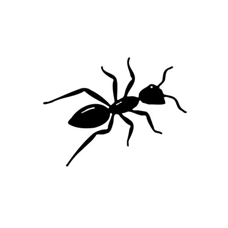 A black silhouette of an ant on a white background.のイラスト素材