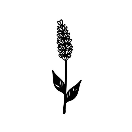 A black and white drawing of a plant with a stem, leaves and a blossom, itâs minimal, clean and simpleのイラスト素材