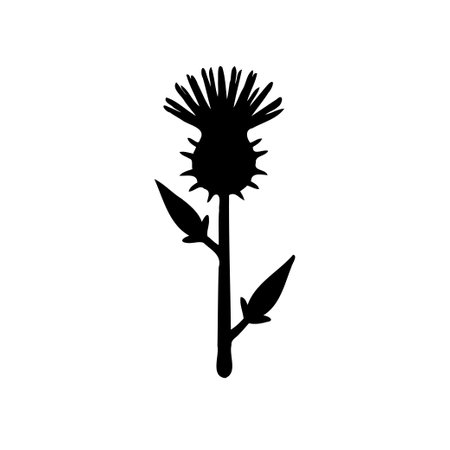 A black silhouette of a thistle flower with leaves is isolated on white backgroundのイラスト素材