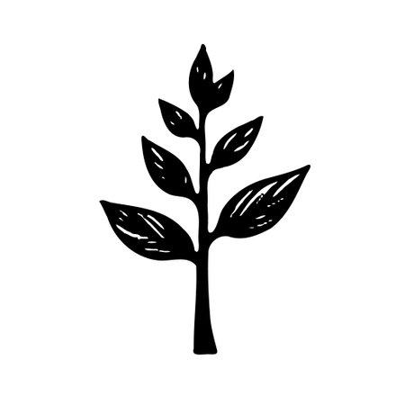 Hand drawn illustration of a plant. Vector format.のイラスト素材