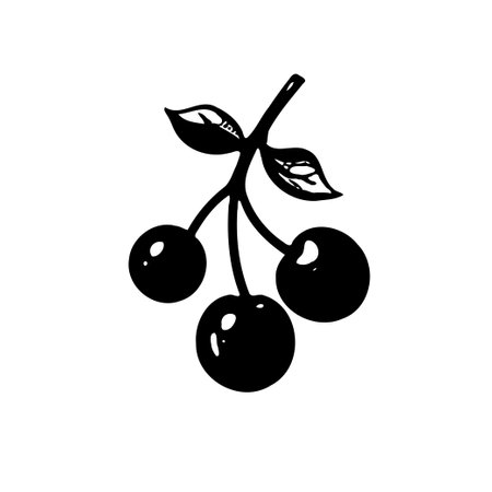 A simple black and white vector illustration of cherries.