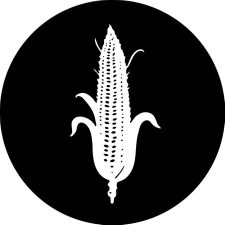 Corn icon on a black background. High-quality vector illustration.のイラスト素材