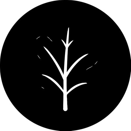 Minimalist illustration of a tree branches on black background.のイラスト素材