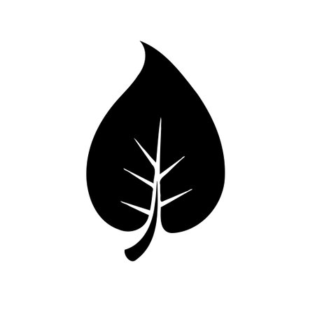A bold, minimalist silhouette of a leaf, perfect for nature-themed designs, organic product branding, or eco-conscious projects. Its simple, clean aesthetic makes it versatile.のイラスト素材