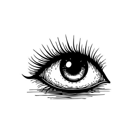 Detailed monochrome drawing of an eye with striking eyelashes, showcasing the beauty of human anatomy. The artful sketch captures the essence of vision and perspective.のイラスト素材