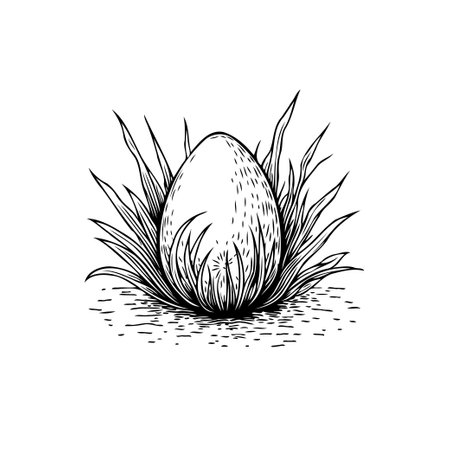 A minimalist monochrome illustration depicts an egg nestled in sparse grass. The image evokes themes of nature, springtime, and the beginning of life.のイラスト素材
