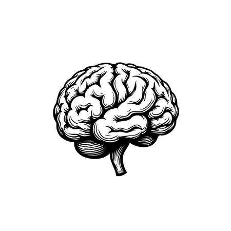 Detailed illustration of a human brain, symbolizing intellect and consciousness. Representing mental capacities, neurological structure, and the essence of human thought processes.のイラスト素材