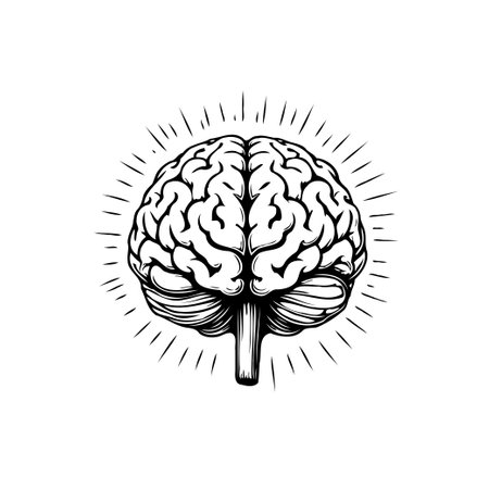 An detailed anatomical brain drawing. Radiating lines enhance the idea of knowledge, wisdom and mental function. Illustrates the power of the human mind.のイラスト素材