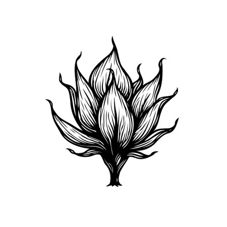 A hand-drawn monochrome botanical illustration features a stylized flower in exquisite detail, perfect for adding a touch of elegant nature to designs.のイラスト素材
