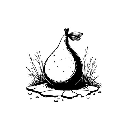 A stylized, minimalist illustration showcases a pear amidst sparse foliage, resting on a fractured stone-like base. The black and white drawing emphasizes naturalness.のイラスト素材