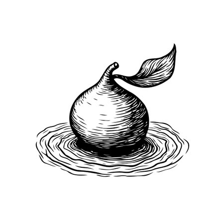 A solitary bulb with a single leaf rests on water, depicted with fine ink strokes and concentric ripples, evoking a sense of tranquility and natural elegance.のイラスト素材