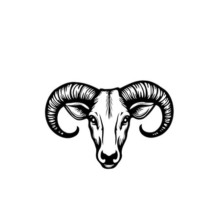 A detailed monochrome illustration of a ram's head showcasing its prominent curved horns. This artwork would be a great fit for emblems, designs, or symbols with an animal theme.のイラスト素材