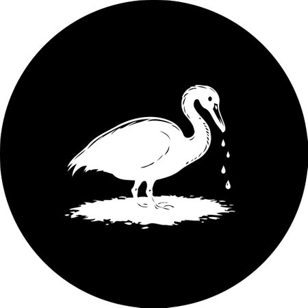 A sleek and stylized illustration of a swan, depicted in white against a bold black circular background. The minimalist design captures the bird's graceful form, accented by water droplets, emphasizing its connection to its environment.のイラスト素材