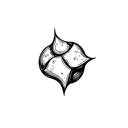 A meticulously drawn monochrome botanical illustration shows a unique seed or budding fruit. The sketch has elegant lines and a clean aesthetic, best for adding artistic touch.のイラスト素材