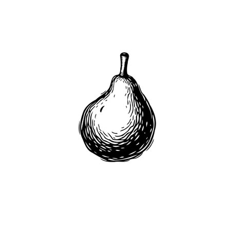 A hand-drawn illustration of a pear, rendered in black and white. It captures a vintage aesthetic with its detailed lines and organic shape. Its simplicity offers a touch of rustic elegance.のイラスト素材