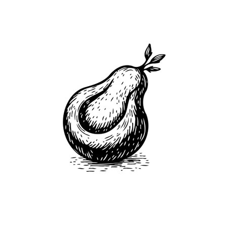 A refined pear illustration showcased in stark black and white. The detailed texture gives depth and richness, complemented by a delicate leaf sprig.のイラスト素材