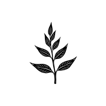 A meticulously crafted monochrome illustration showcasing a stylized leaf branch. Perfect for adding a touch of nature-inspired elegance to various creative projects.のイラスト素材