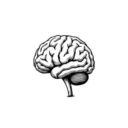 Monochrome anatomical brain illustration emphasizing intellect, knowledge, and the complexity of human cognition for designs related to science, medicine, and mental wellbeing.のイラスト素材