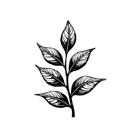 A minimalist botanical illustration depicts a branch with detailed leaves in black and white. The art piece captures nature's essence with simplicity and timeless elegance.のイラスト素材