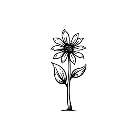 A detailed monochrome botanical illustration of a single flower. The stylized design features precise lines and delicate shading, giving it a clean and elegant look. Perfect for graphic design or decorative projects.のイラスト素材