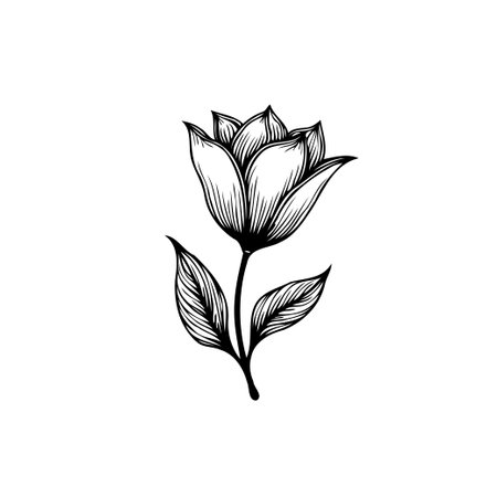 Refined and detailed flower illustration, rendered in monochrome line art. Embodying natural beauty and suitable for various design projects.のイラスト素材