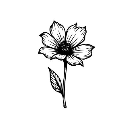 A detailed black and white sketch of a blossoming flower with a leaf. Ideal for adding a touch of botanical elegance to any creative project.のイラスト素材
