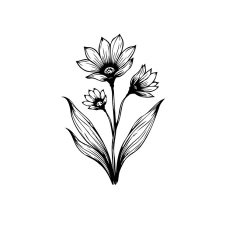 A refined black and white floral illustration showcases a detailed botanical drawing. Ideal for adding a touch of nature's elegance to creative projects.のイラスト素材