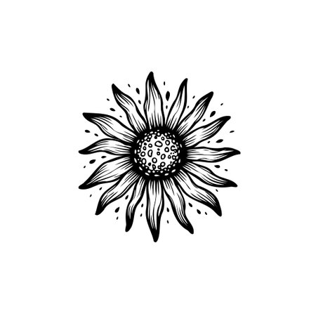A minimalist black and white line art illustration of a single sunflower, perfect for botanical designs and creative projects.のイラスト素材