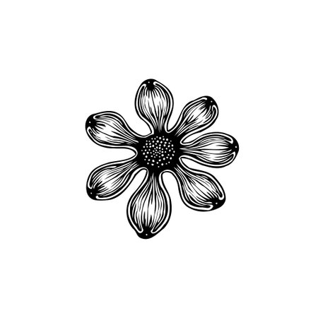 An intricate black and white floral illustration perfect for botanical designs, prints, or decorative elements. Features detailed line work and a stylized flower shape.のイラスト素材