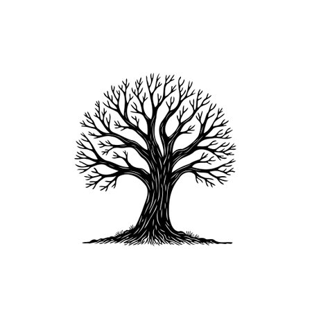 An elegant black silhouette of a tree with detailed branches. Represents nature, resilience, and the beauty of organic growth, isolated on a white background.のイラスト素材